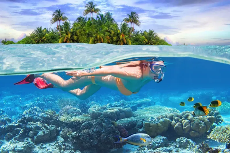 Phi Phi Tours