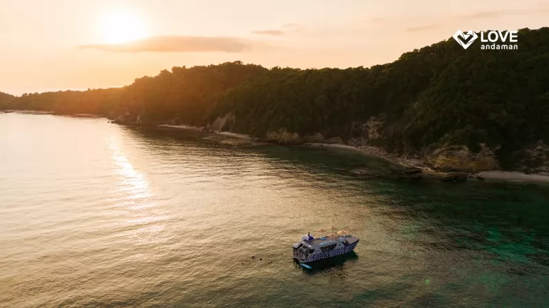 Phi Phi with Slider  + Maya Bay + Maiton Islands Sunset Tour by Speed Catamaran (whale shark)