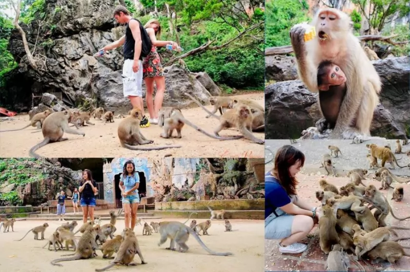 White Rafting + ATV Full Day Tour