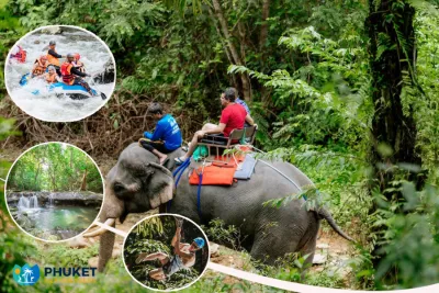 White Rafting + Elephant Trekking Full Day Tour